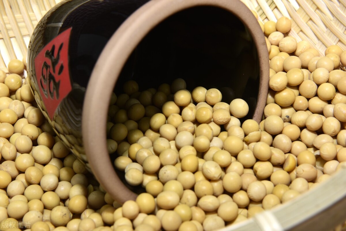 东北大豆价格最新行情现在多少,国内大豆价格近10年走势图