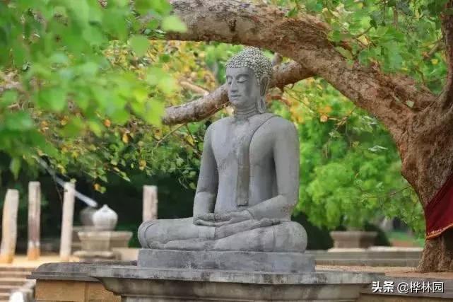 命运很悲惨怎么改命,命硬的人怎么改变运势