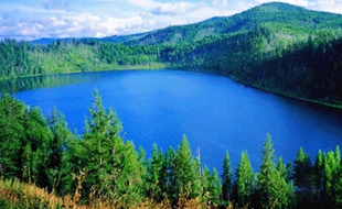 黄金原油外汇日内交易策略分析,德指dax期货