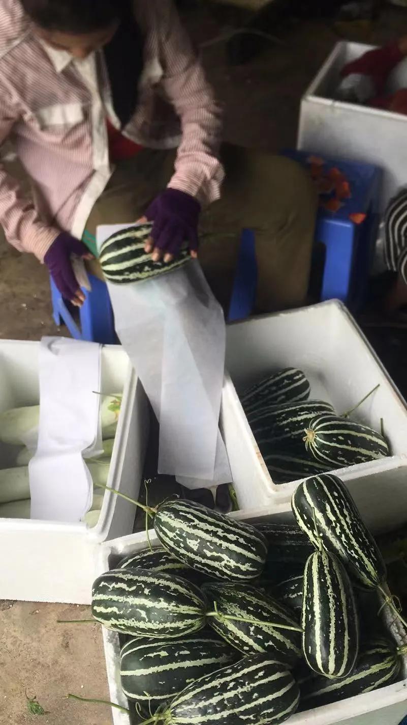 他从老师转行到柬埔寨当“农民”，2次从零开始，如今终见希望