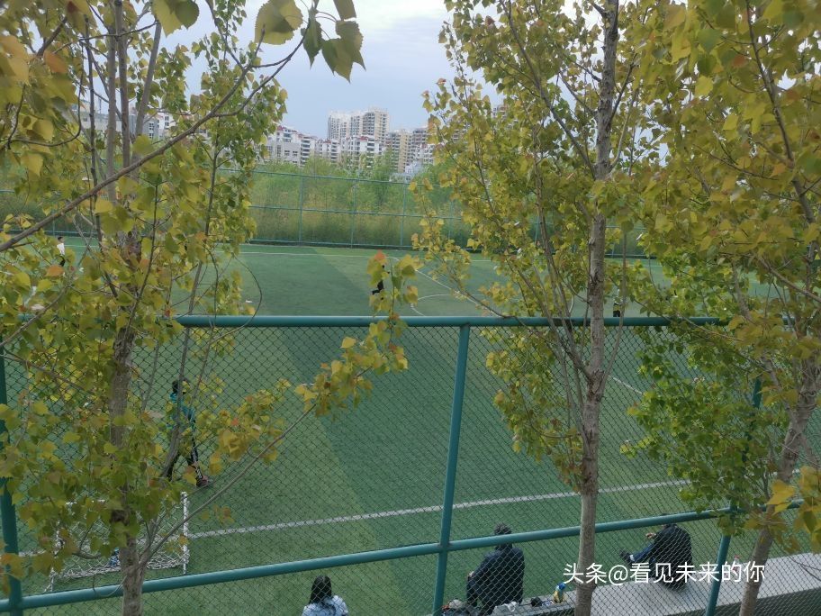 烟台开发区福莱山公园最新消息,烟台开发区福莱山公园喷泉时间