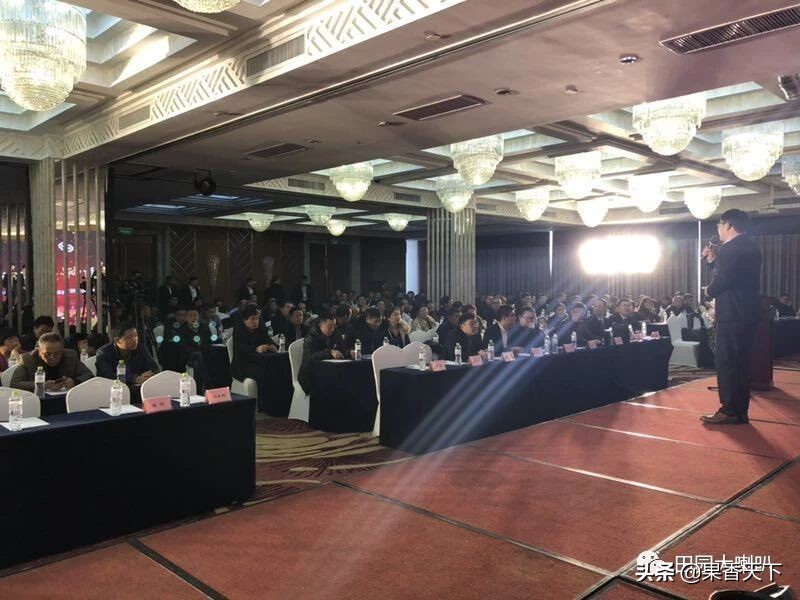 赋能新科技，肥效是王道