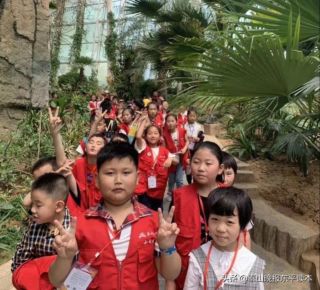 二年级小记者活动,小记者实践活动收获