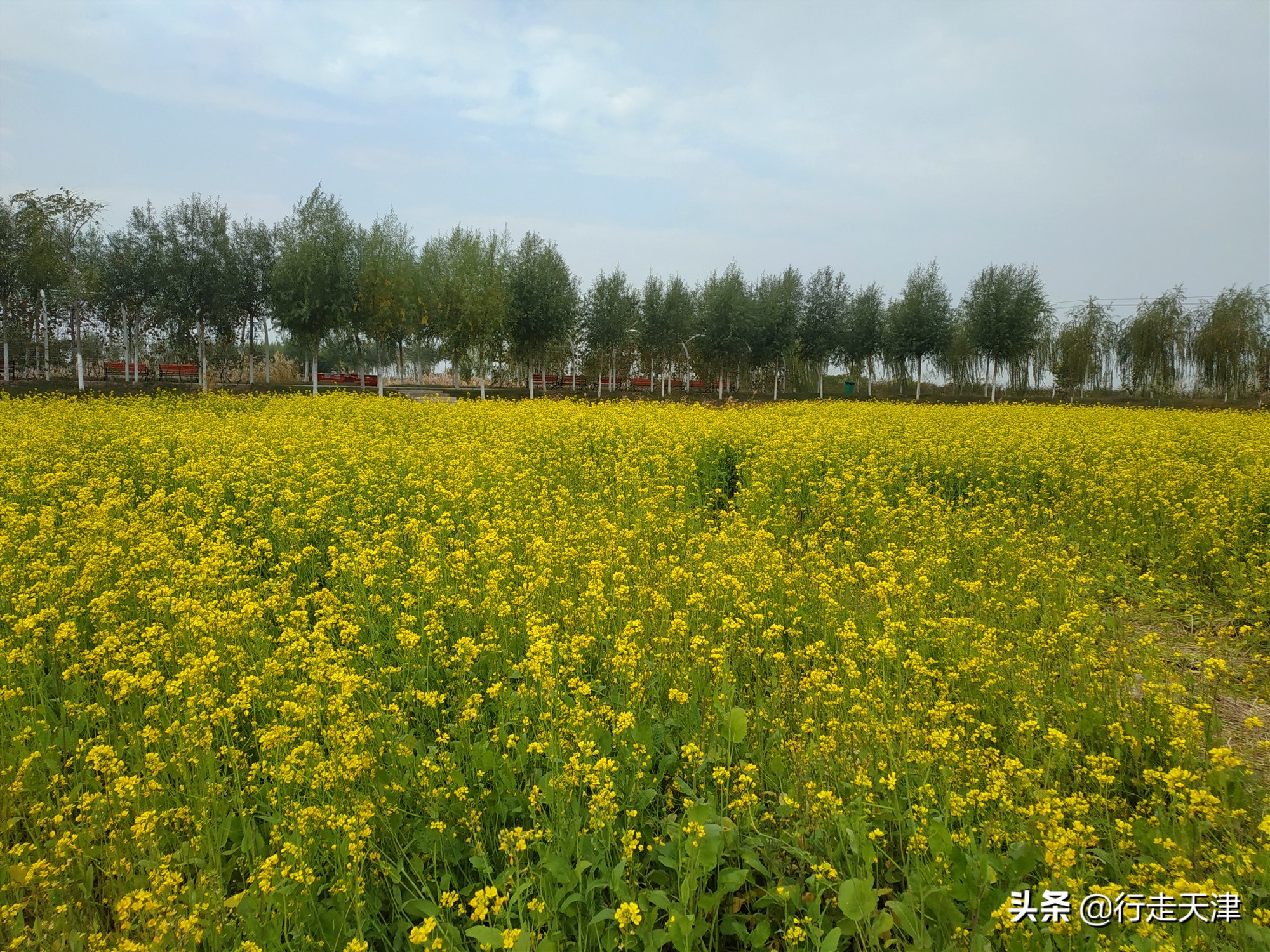 天津游玩景点推荐适合小孩,天津儿童游玩景点推荐