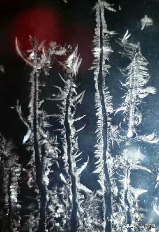 玻璃窗上的霜花像什么,玻璃上的霜花是什么样子