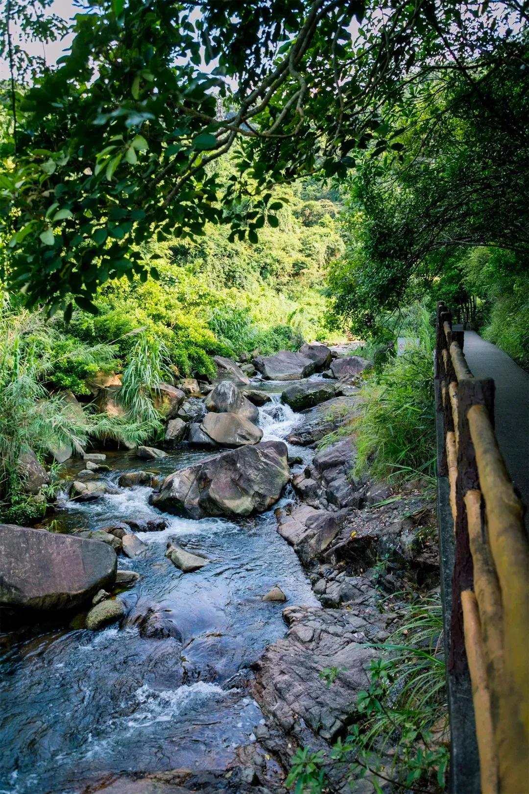 深圳值得打卡的建筑物,深圳最值得打卡的山