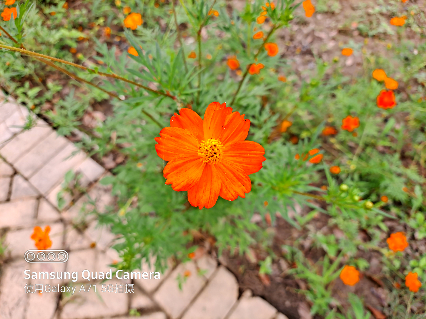 三星galaxya715g版测评,三星galaxya71可以入手吗