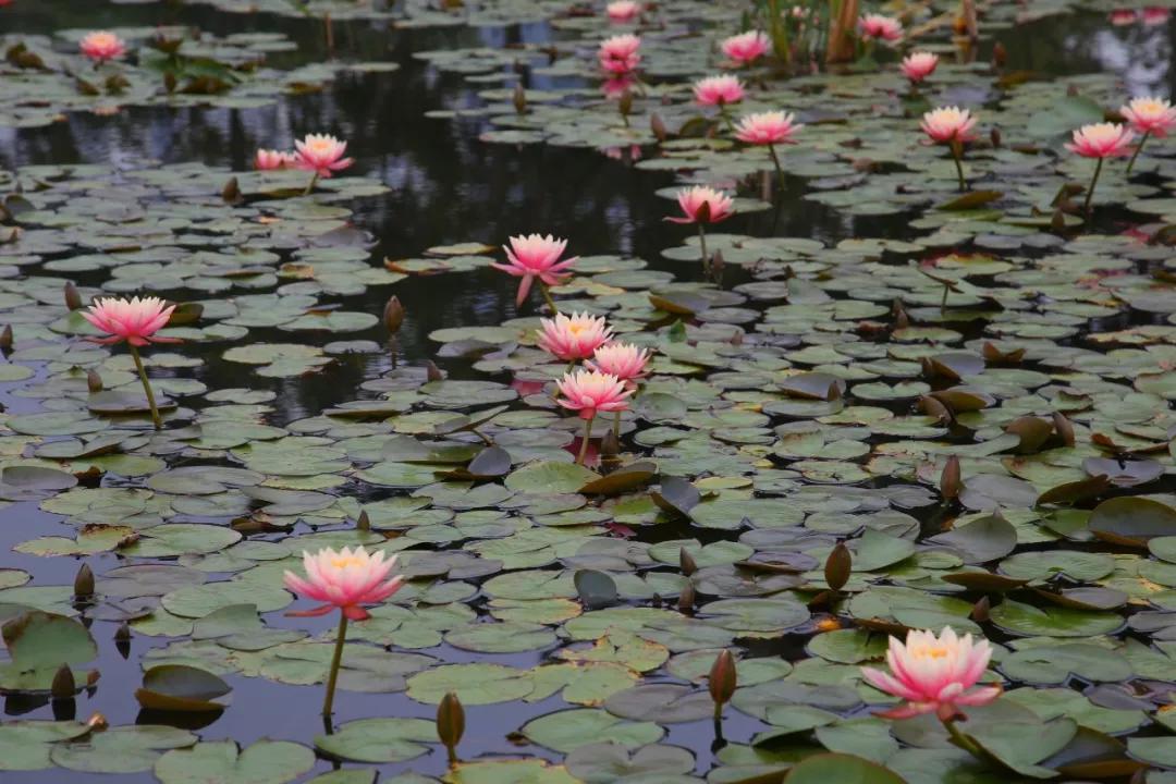 去厦门吹海风,来去厦门观光享受清凉的海风