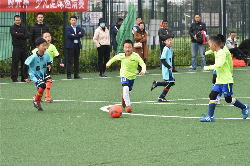 t6出行有八座吗,t6出行图片