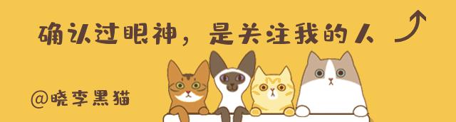 猫的语言有多厉害,猫的语言能力有多强大