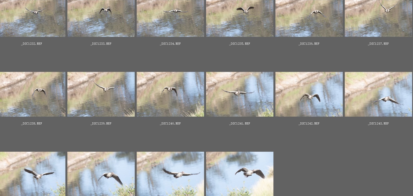 尼康nikond850拍摄视频,摄影器材篇尼康d850