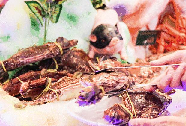 急急急！如何1分钱吃遍泰禾？！96小时限时小镇正式上线！