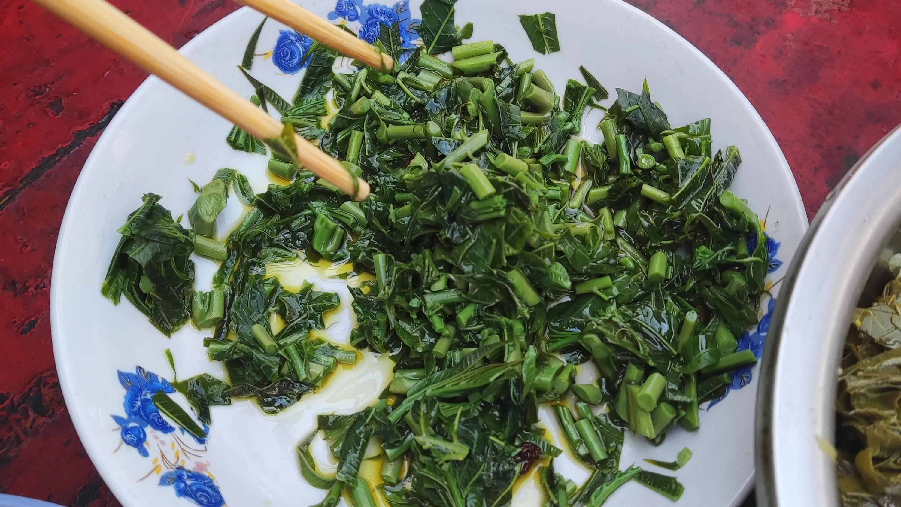 杨树叶子拌什么好吃,杨树叶可以直接凉拌吃吗