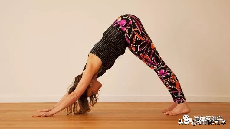 简单瑜伽助你赶走久坐腰酸背痛,久坐腰疼腿疼瑜伽怎么做舒服