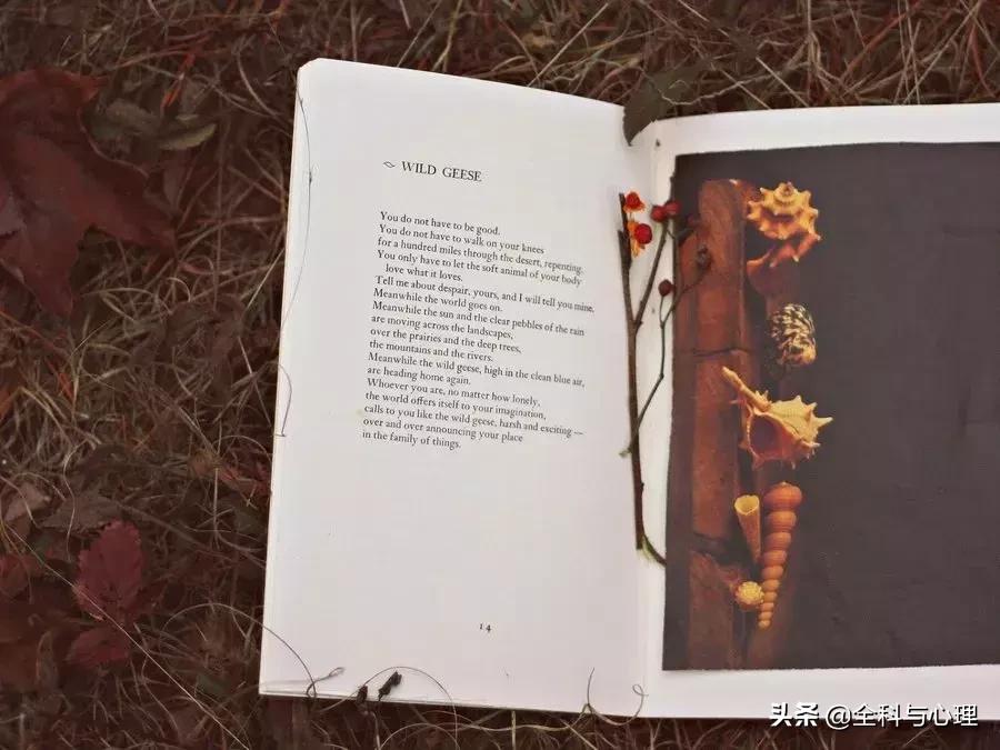 心灵鸡汤人生感悟正能量的句子,心灵鸡汤感悟人生正能量的句子