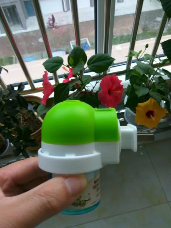 自制杀虫水多久浇一次,月季生虫自制杀虫水