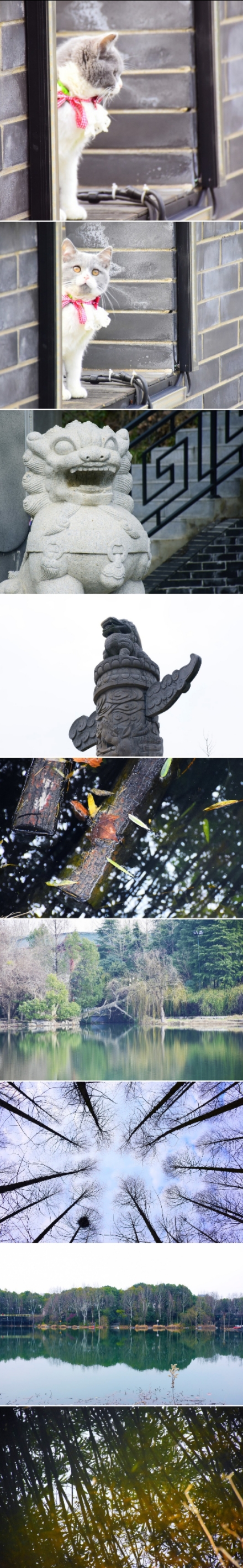 长城上能建学校吗,学校建得像长城