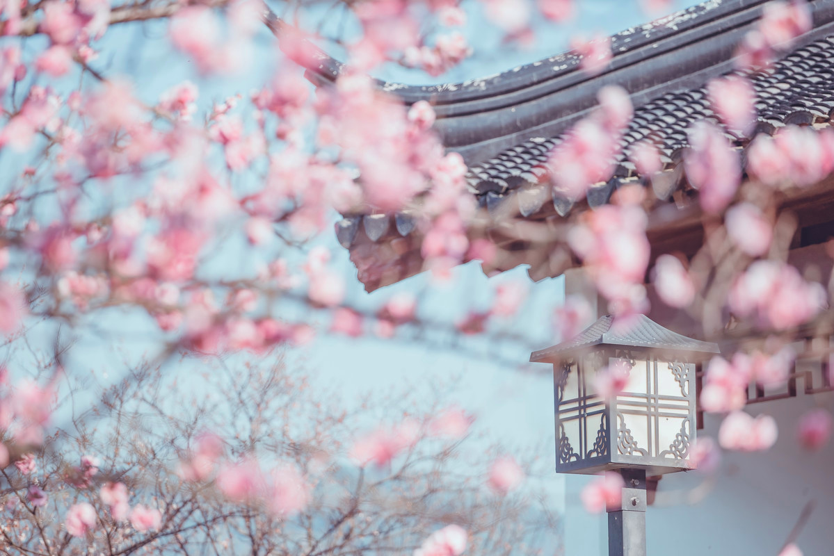 戴口罩的春节,戴口罩的冬天过去了