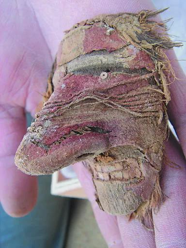 西域魅影是什么,西域魅影是人吗