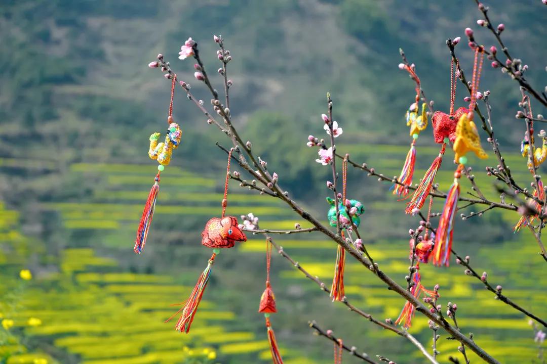 鑺辨湞鑺傝姳浠欏瓙,鑺辨湞鑺傝姳浠欏瓙宸℃父