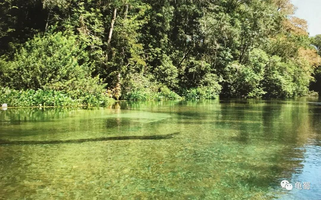 minimonster杭州,minimonster绘本