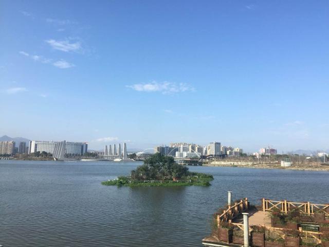 苍南县全国百强镇,苍南全国百强县排第几