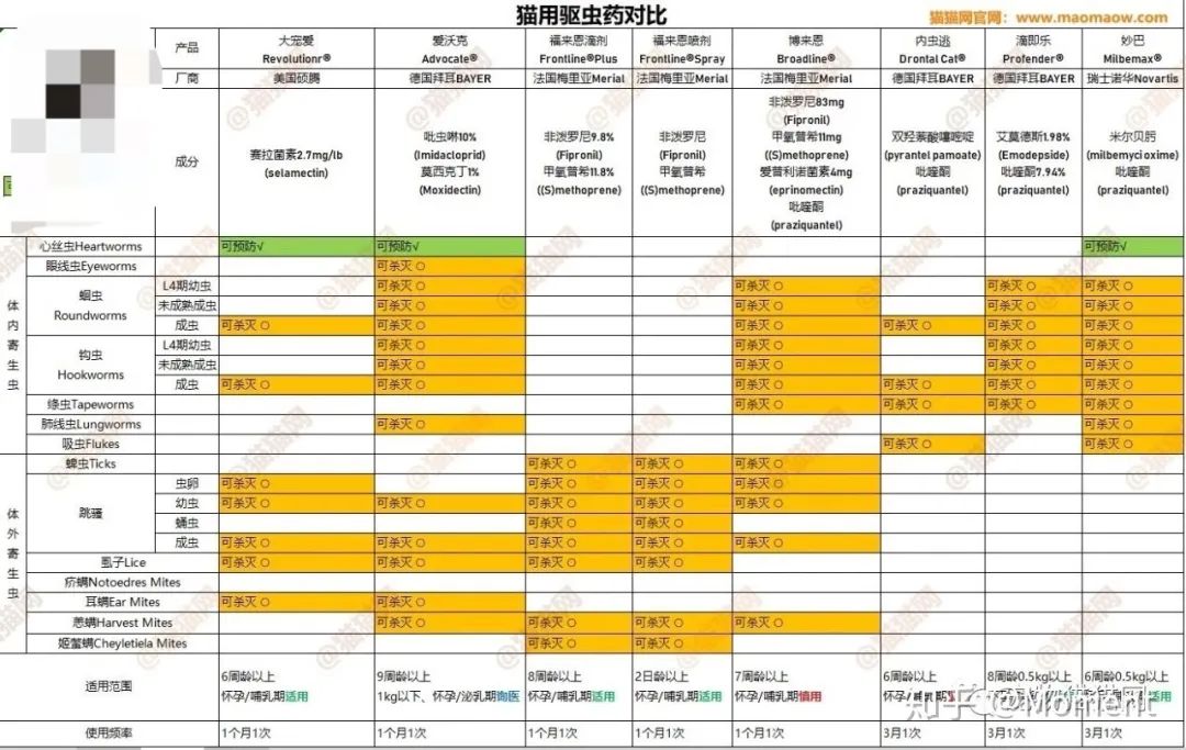 猫奴文化养猫真正该买的东西,养猫必备药品大全新手猫奴必看