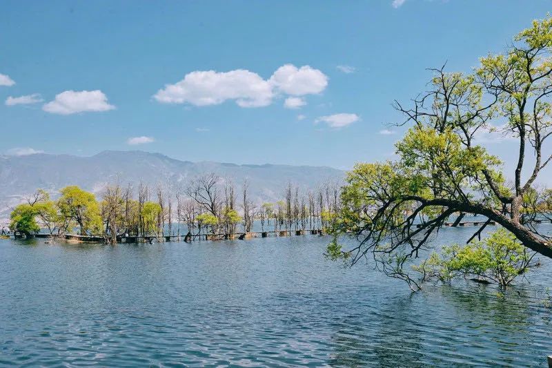 疫情结束后一定要打卡的小众景点,国内最美的小众地
