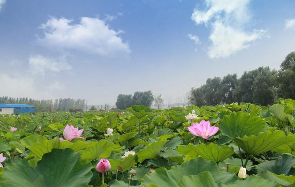 合肥市网红游玩区,合肥网红景点推荐