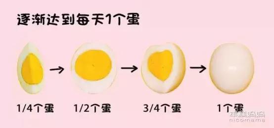 鸡蛋过敏的孩子吃什么早餐,孩子鸡蛋过敏该吃什么补充营养呢