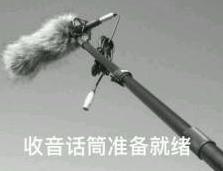 她消费了22万网友的同情心,直到把自己送进看守所