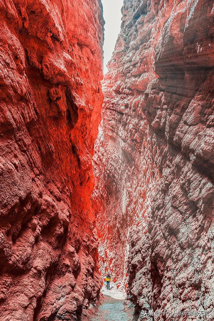 如果你不了解现实你就去看历史,如果你不了解历史就无法展望未来