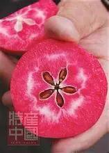 世界稀奇水果品种大全,世界热带奇特水果品种介绍