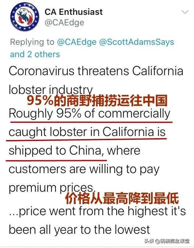 龙虾不吃东西,龙虾没人吃