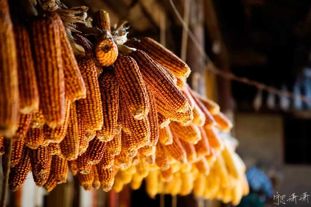 拍照用点对焦还是自动区域对焦,对焦的奥秘视频拍摄中的对焦技巧