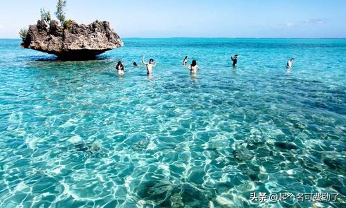 中国护照免签国最值得去的国家,持中国护照最容易入境的免签国家