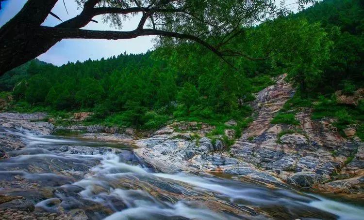 媲美四川九寨沟！山东这些地方野趣十足，承包夏天90%的清凉！