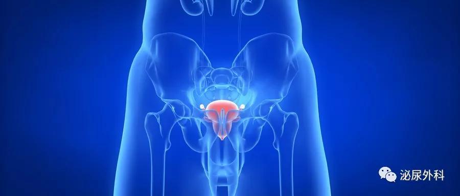 怎么预防久坐引起的前列腺炎,如何预防前列腺炎最好的方法