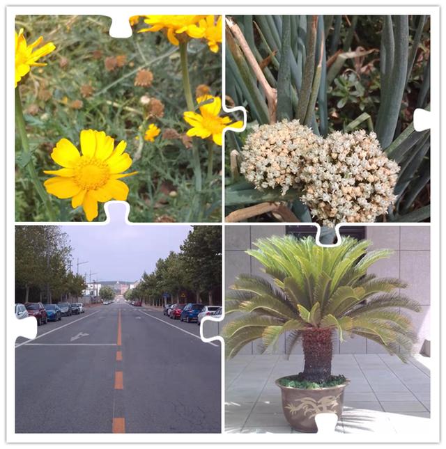 多亲ai助手测评,多亲全面屏ai助手