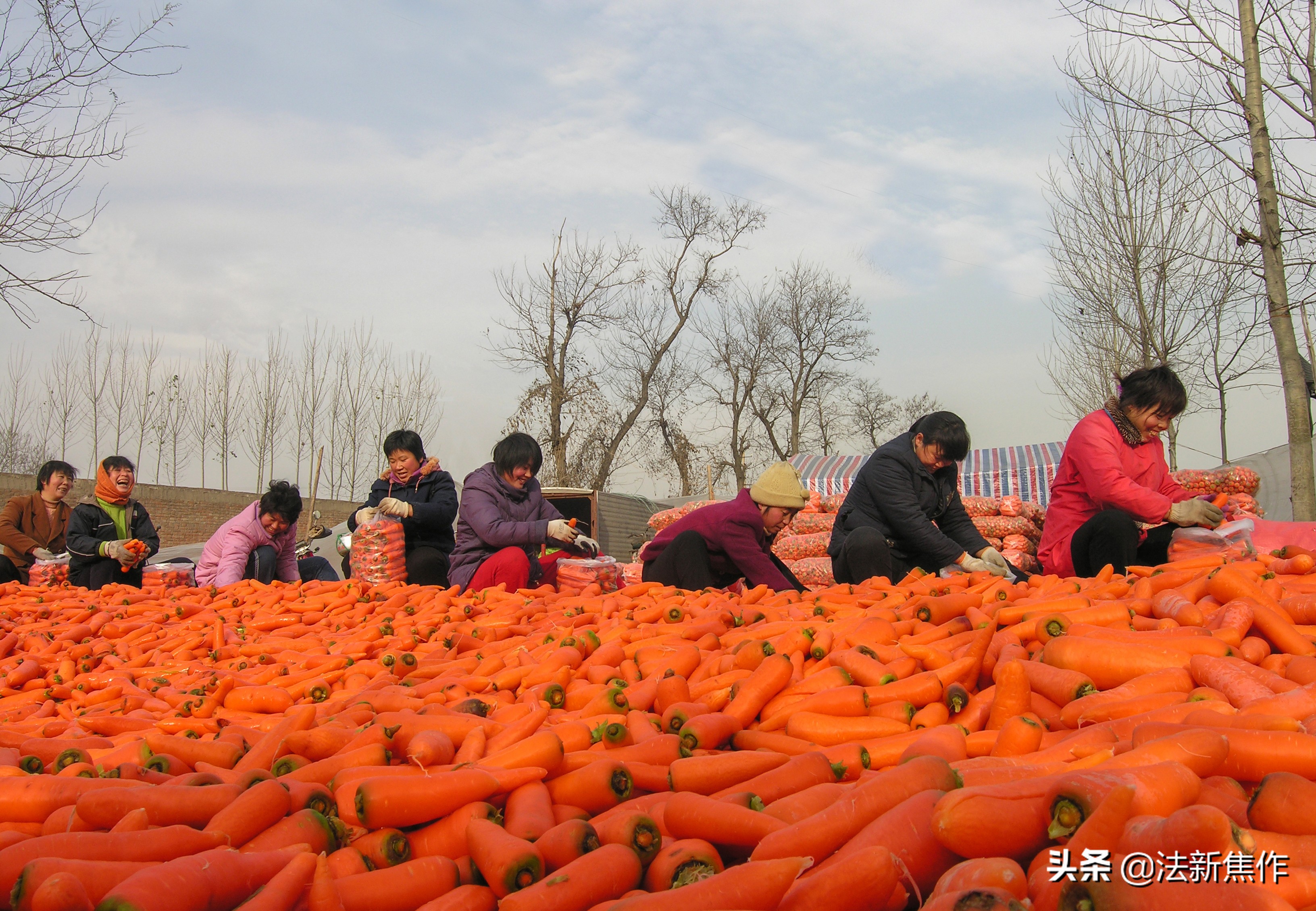 建党百年感人诗歌,献礼建党百年诗