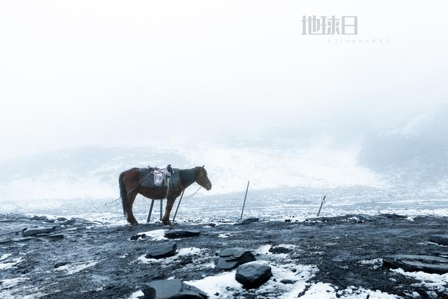 江湖上仍有雨神的传说，四撩四个姑娘还是云里雾里不见真容