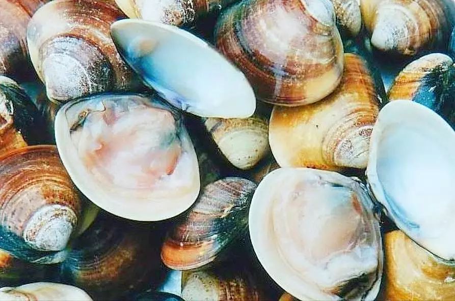 【读历史游盘锦】清晓水如镜，隔海人似鸥渤海金滩蛤蜊岗