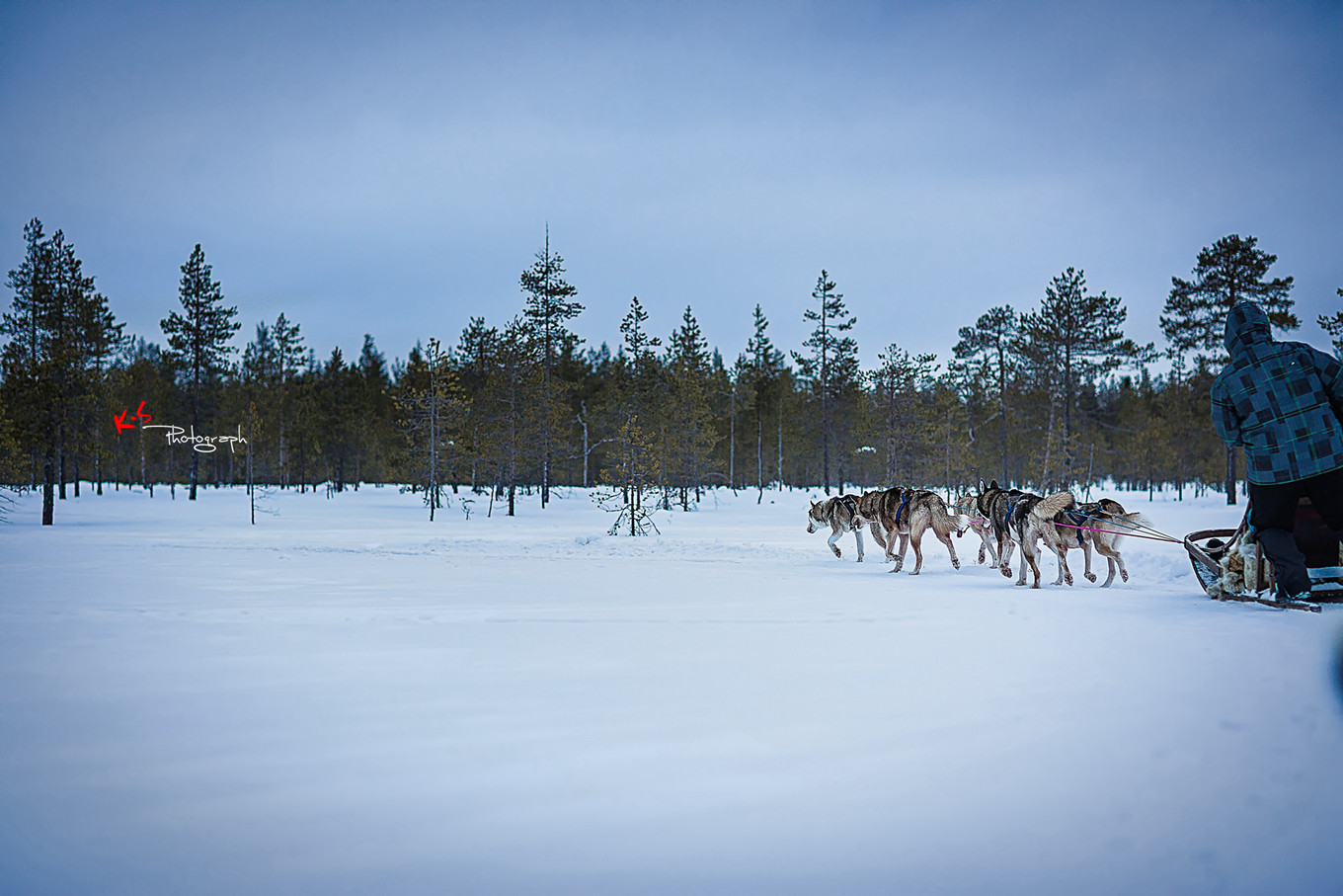 果小姐的日常,果小姐的慢生活