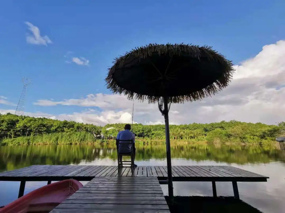 琼中秋之韵山水民宿,琼中蜜柚山庄民宿