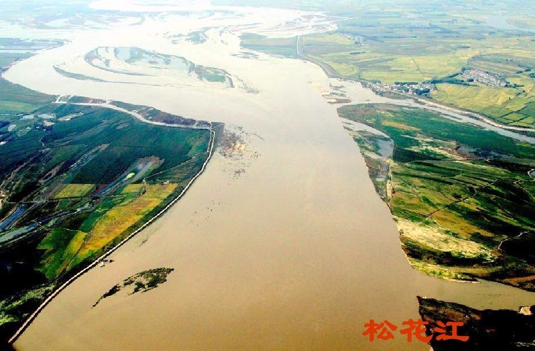 松花江名鱼排行,黑龙江和松花江的鱼