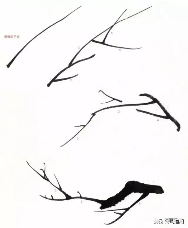 图文教程一学就会画写意菊花,零基础学画梅花教程