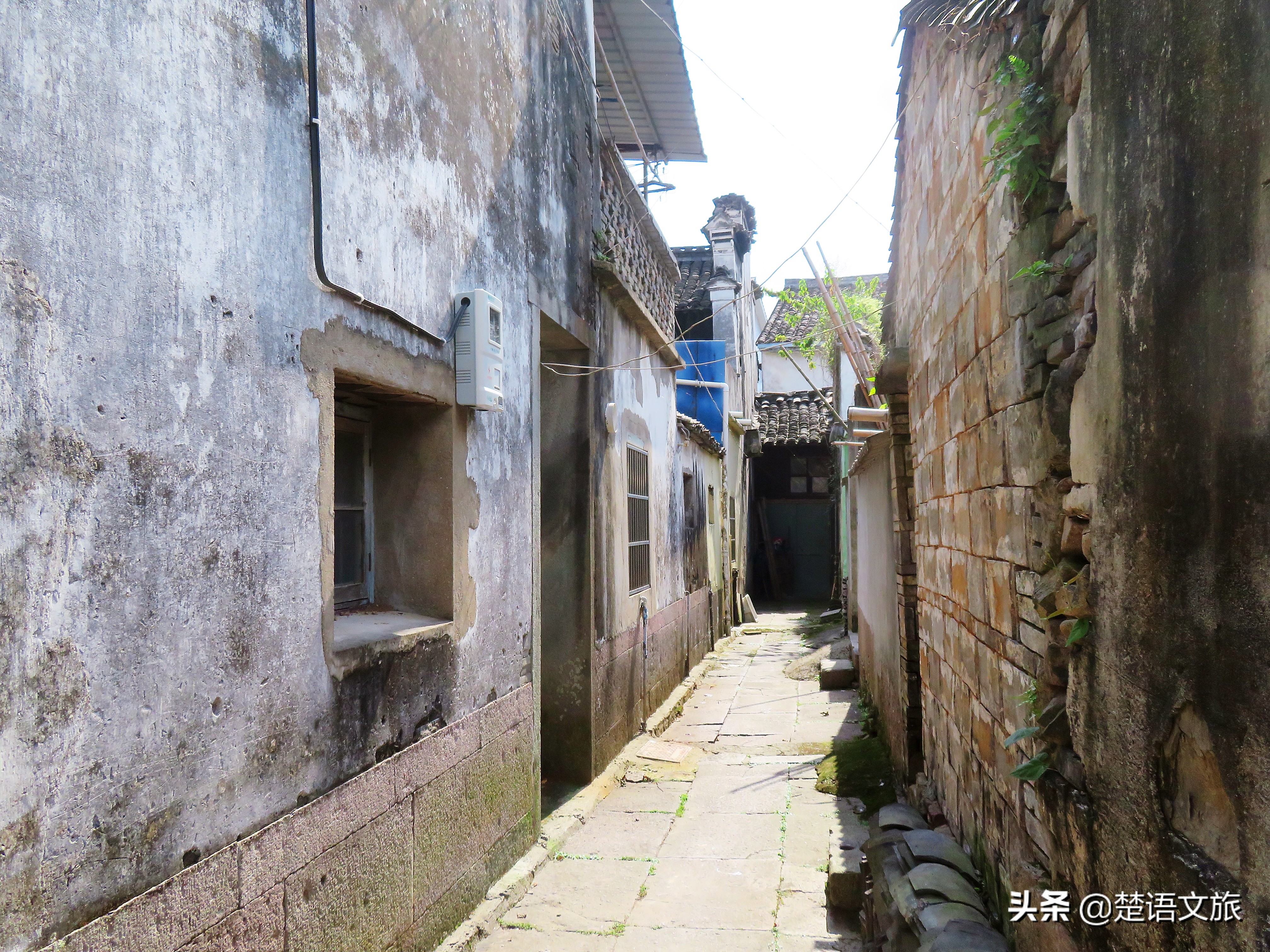 盛产杨梅而闻名的县是哪里,杨梅之乡余姚在什么省