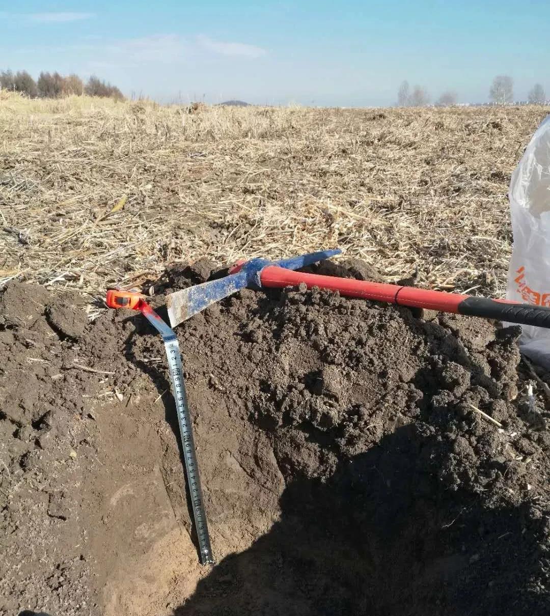 让农业真正回归照顾生命