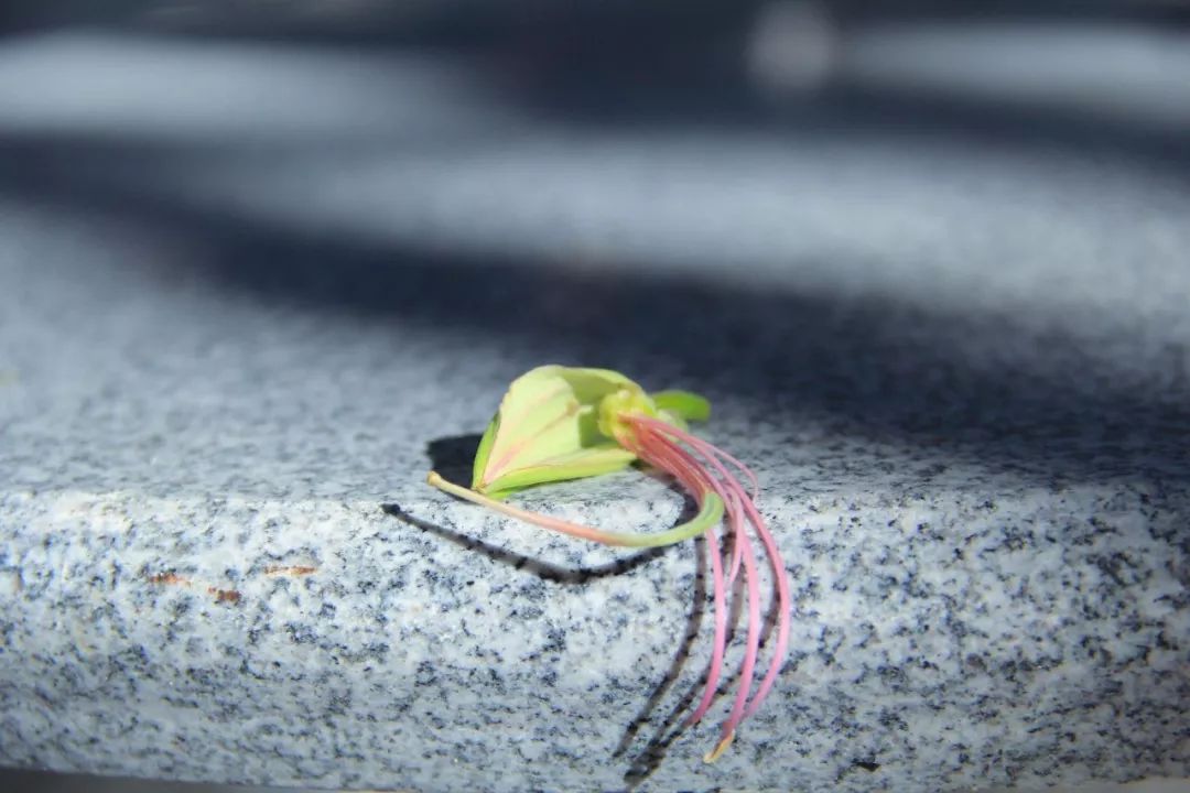 云浮体育公园2021,体育公园云浮