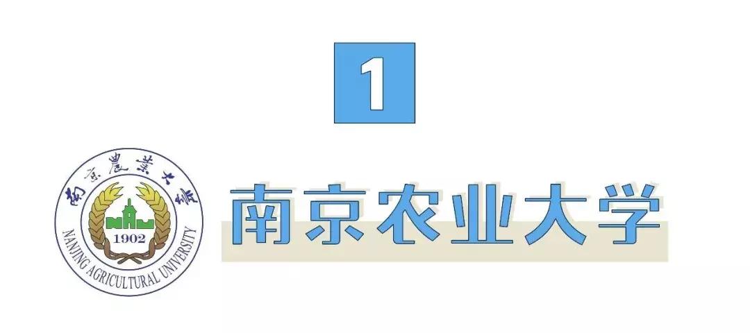 南京高校食堂最强评鉴，你报考的学校上榜了吗？